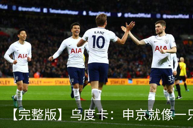 【完整版】乌度卡：申京就像一只斗牛犬 不在乎谁得分只要能赢球