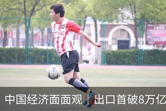 中国经济面面观｜出口首破8万亿：“新”字挑大梁