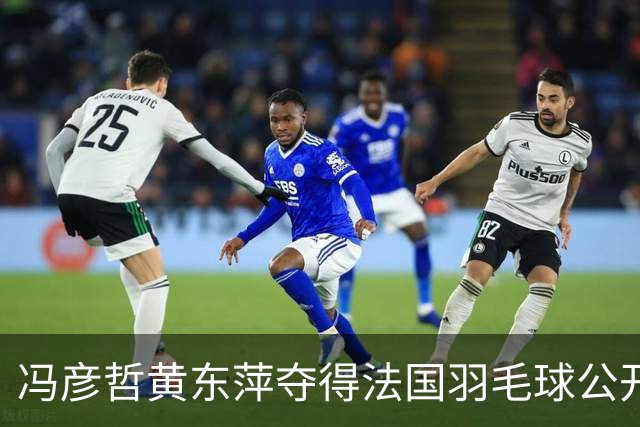 冯彦哲/黄东萍夺得法国羽毛球公开赛混双冠军
