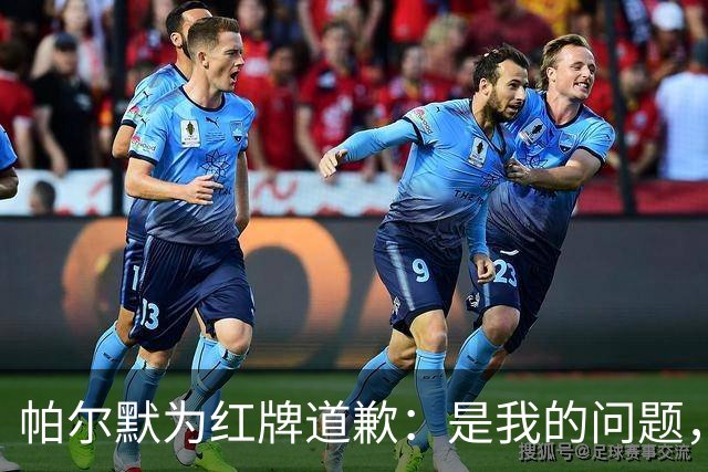 帕尔默为红牌道歉：是我的问题，会吸取教训