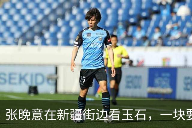 张晚意在新疆街边看玉石，一块要50万元，李沁：不怕被人顺走吗？