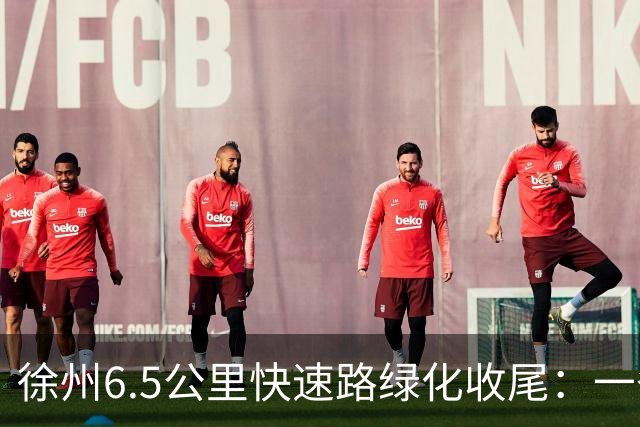 徐州6.5公里快速路绿化收尾：一条高架的价值，一半在桥面上，一半在桥下
