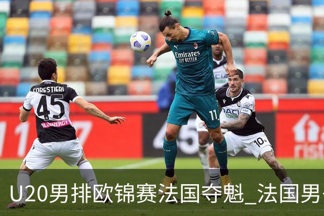U20男排欧锦赛法国夺魁 法国男子排球赛季大满贯